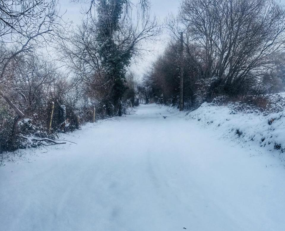Posada El Nozal Sena Dış mekan fotoğraf